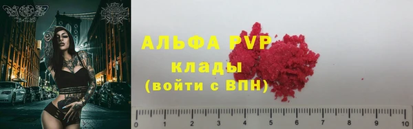 гашик Белокуриха