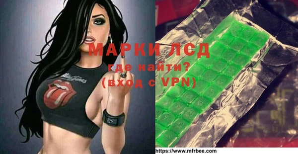 гашик Белокуриха